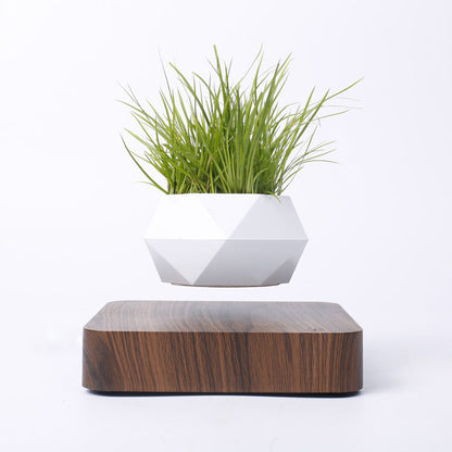 Magnetic Levitation Plant Pot